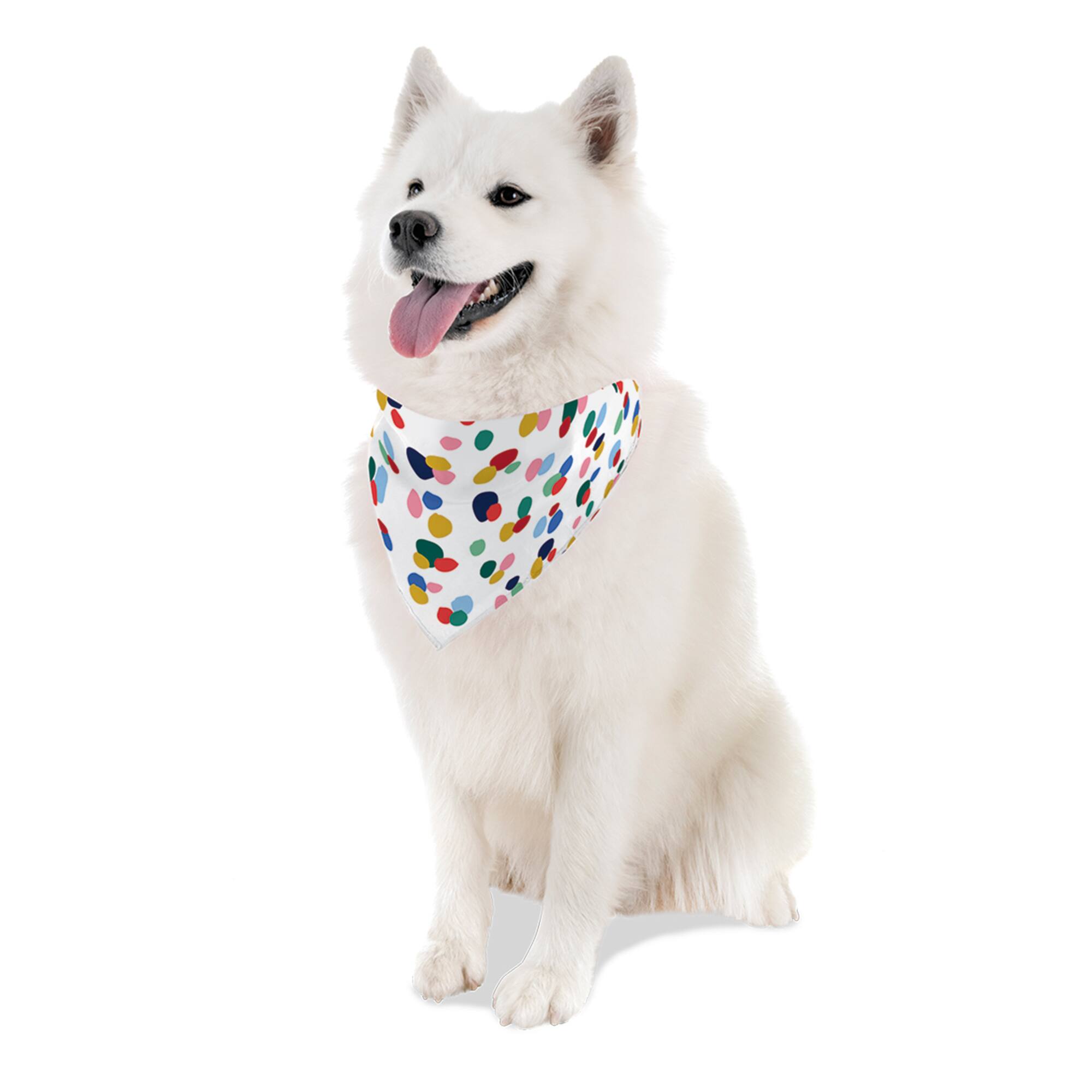12 Pack: Sublimation Pet Bandana with Collar by Make Market®